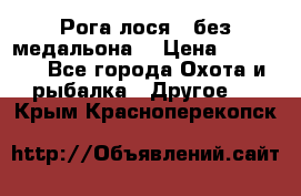 Рога лося , без медальона. › Цена ­ 15 000 - Все города Охота и рыбалка » Другое   . Крым,Красноперекопск